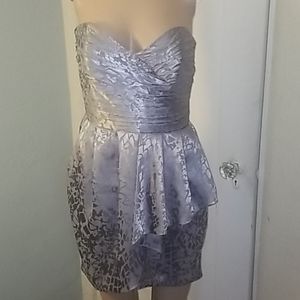 Gorgeous silver dress NWOT